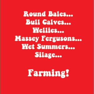 Farming round bales bull calves wellies masscy fergusons wet summers farming!