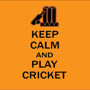 keep calm and play cricket baby clothes gift