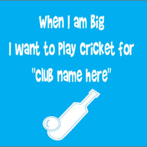 when i am big I want to play cricket for baby clothes